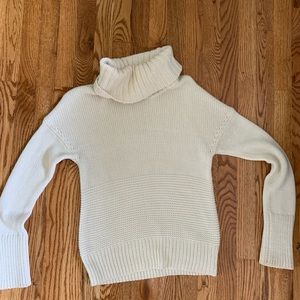 Gap Turtleneck